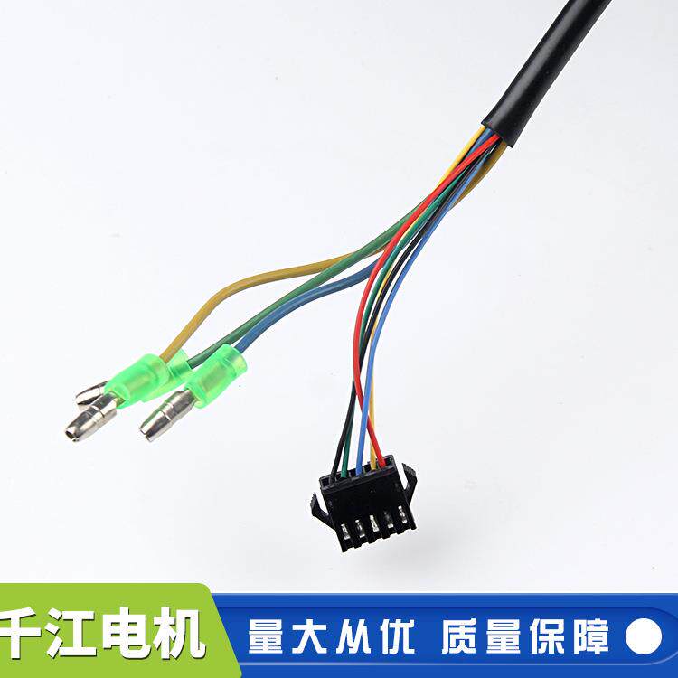 36V30无W刷平衡电机动感智能6095车电机山地车电动车自行车电机
