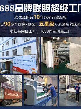 E维儿童乳胶棕垫榻VUD薄榻梦米椰棕床垫上下双椰层床棕榈垫硬可