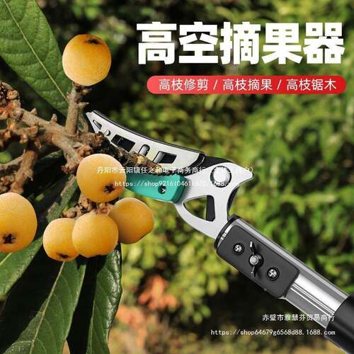 摘水果枇荔枝杨梅摘果伸缩杆采摘器高枝剪杷空高修枝剪剪AFO剪修