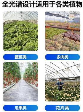 大棚植物专用补用光灯室内家蔬菜绿植季兰花卉VLJ生长灯月太阳光