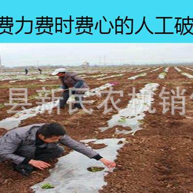 2行玉机膜上播种豆机花生绿豆黄花DRW生铺膜施肥播种先米铺膜后播