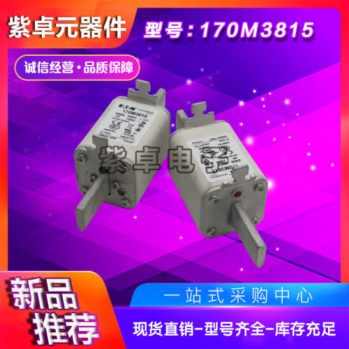 170M3815D170M3816D170M3817D170M3818D170M3819D快速熔断器