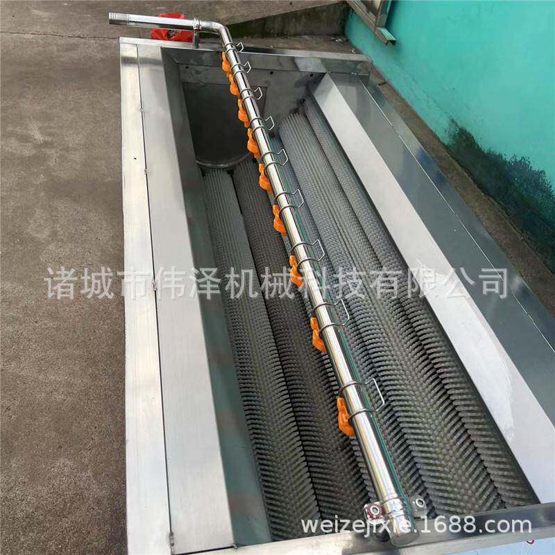 土豆去芽清洗机扇贝去泥机连续式平行毛辊清洗设备诸城伟泽