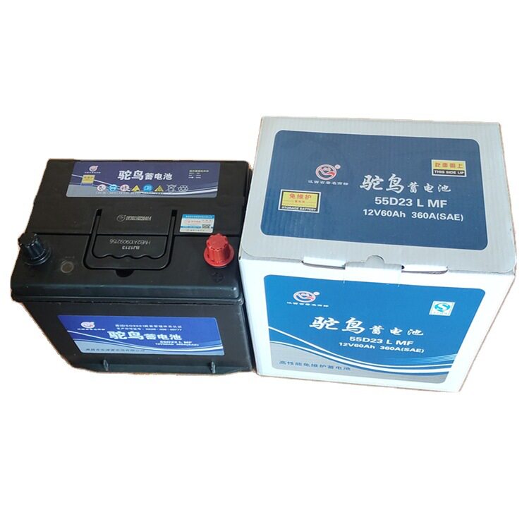驼鸟蓄电池55D23L厂家直供12v60A