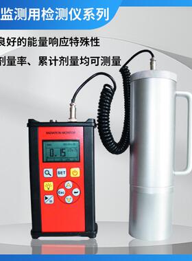 sw88E型环境监测用xγ报警仪器