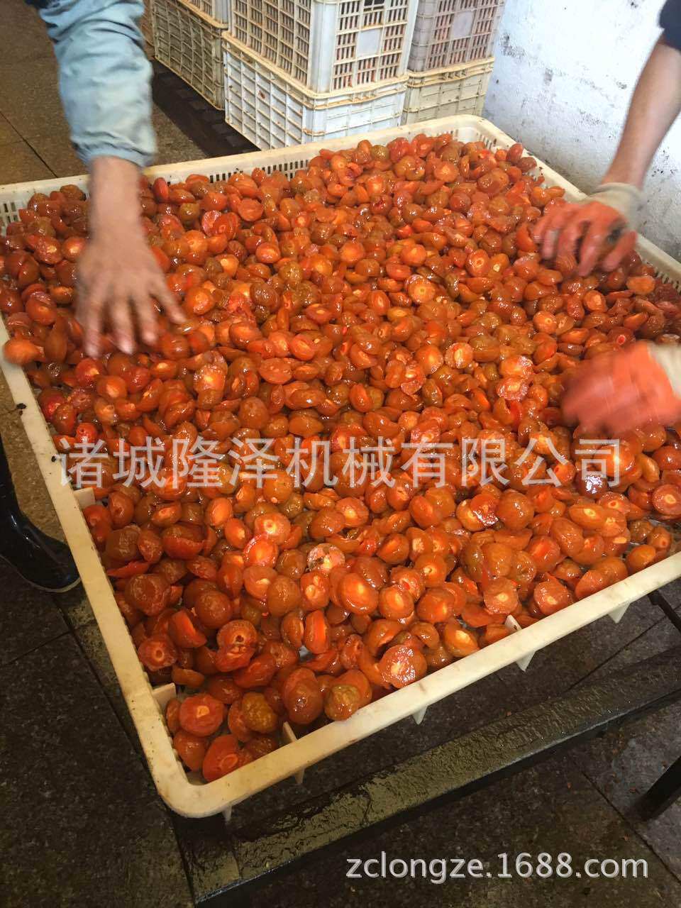 冻干草莓浸糖锅果脯低温浸糖设备蔓越莓冻干浸糖设备