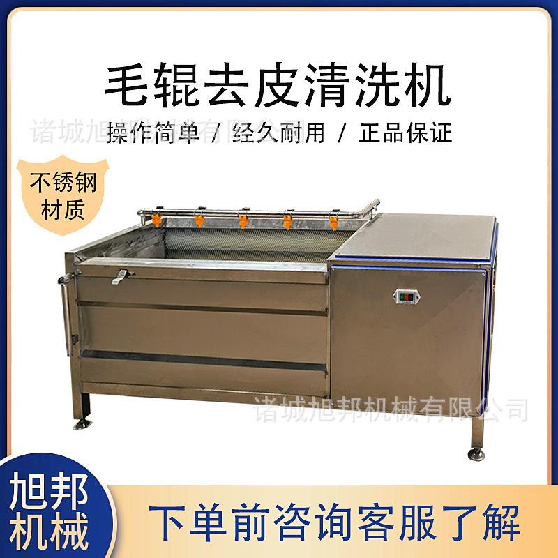 莲藕土豆毛辊清洗机包粽子芦苇叶清洗设备海蛎子毛辊去杂清洗