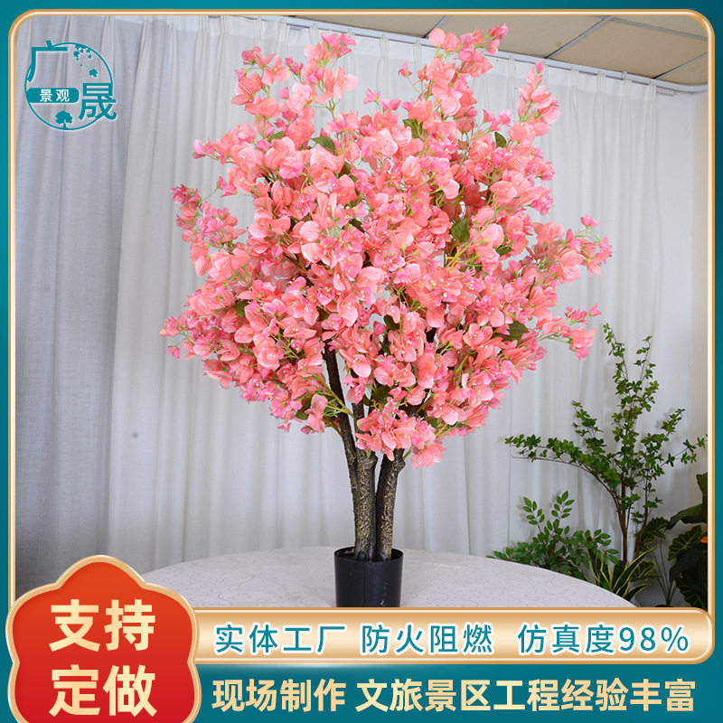 现货批发三角梅盆栽 庭院民宿阳台装饰摆件 婚庆道具背景三角梅盆