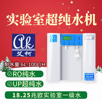 艾柯100L二级水设备食源性病原菌分离实验室超纯水水质全自动