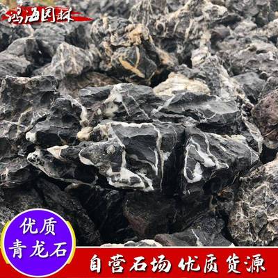 园林景观微景观水族青龙石小英石盆景假山石酸洗青龙石英石