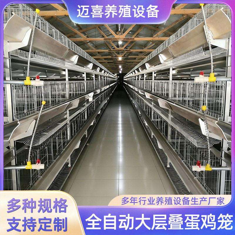 大层叠肉鸡笼立式全自动四层集蛋清粪鸡笼子现化蛋鸡鹌鹑专用笼