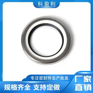 不锈钢骨架油封PTFE唇口内径65666768**808590100