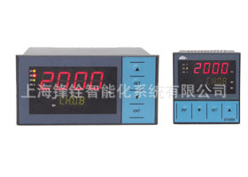 DYIIDY2000DY21D1608巡检控制数字显示仪表