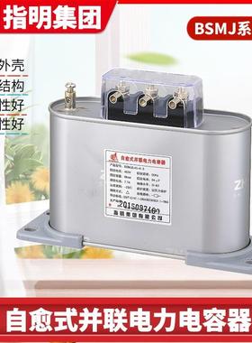 指明集团现货ZMKX0.48-10-3系列抗谐波型低压并联电力电容器三相