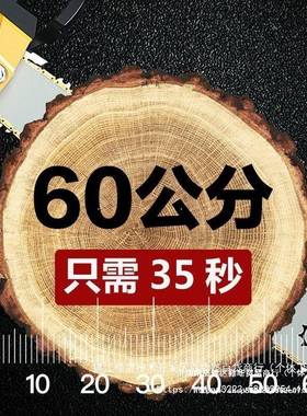 德国爱瑞电德锯家用率电链锯NRE木锯木工锯大功木材切割机链条直