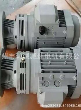 WB12-WD/LD-4立微型摆0线针轮减速机卧式铝WB120-WD壳550式W/750W