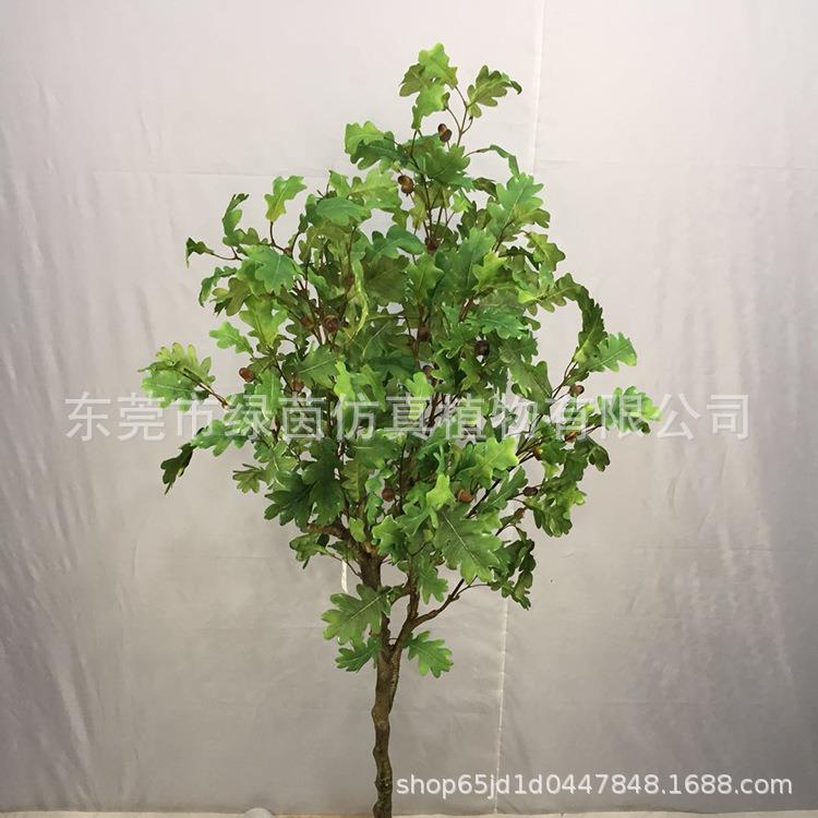 仿件真摆青冈树绿植盆景田园风格橡60734树青/橡子树家居办公冈栎