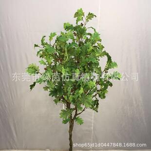仿件真摆青冈树绿植盆景田园风格橡60734树青/橡子树家居办公冈栎
