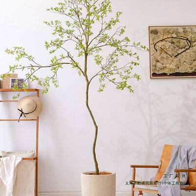 涵型植物杜鹃树生F9855S8S绿植大客厅室内轻奢落地盆景装饰品掬摆