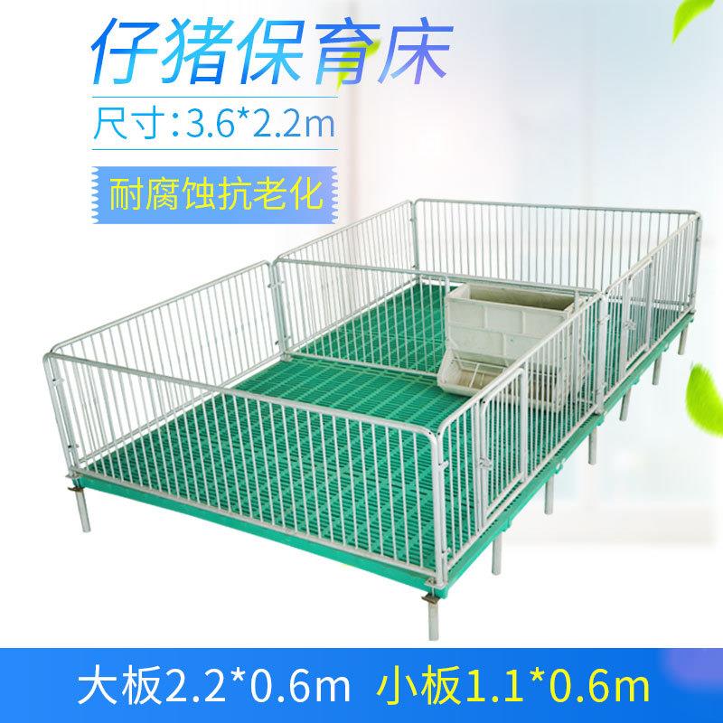 恒机富械复合双体猪仔保育床养53715猪用产保一体床仔猪保育床设