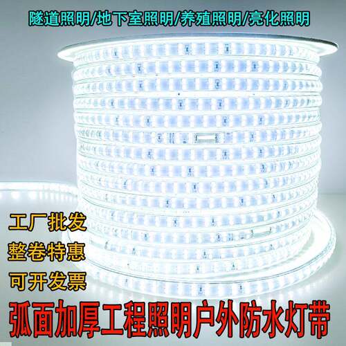 养LD灯10带0米E户外防水超亮工程地58840下室隧道照明殖亮化灯带