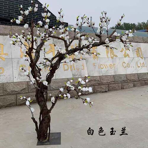 仿玉兰树仿真植物假树大型地花艺花橱窗63301装饰假花室落内客厅