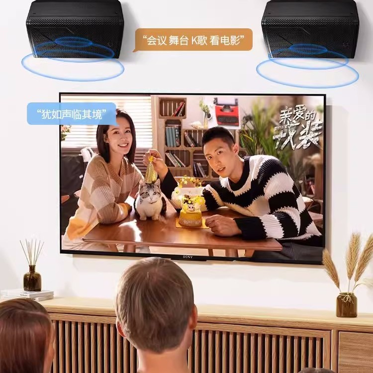 Hivi/惠威XS10/12/15专业音响舞台卡拉OK壁挂音箱全频会议KTV设备