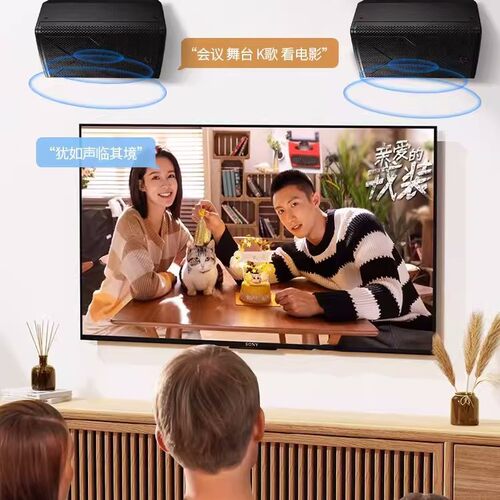 Hivi/惠威XS10/12/15专业音响舞台卡拉OK壁挂音箱全频会议KTV设备