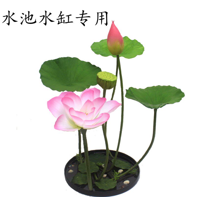仿真荷花水池装饰花水缸摆件假花大鱼缸摆放花酒店鱼池用花