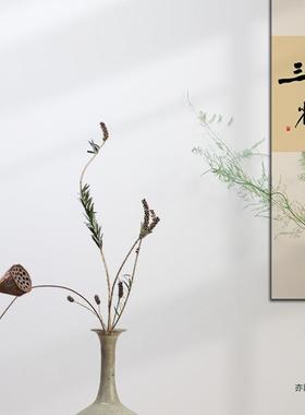 干树枝枯梅花瓶器天然花枝艺桌面干饰装摆禅件客F95866TH厅卧室意