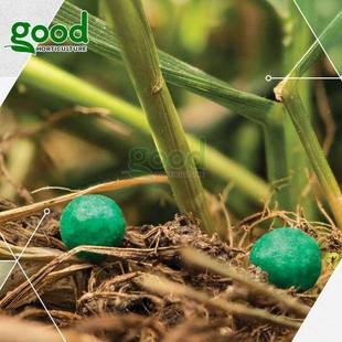 美国polyo双n普立安控释肥包衣复合肥精准料polyon肥掺原膜混花肥