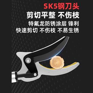 摘摘水果采摘枇杷荔枝缩杨梅龙眼杏子神果器伸杆高空WNW剪树枝高