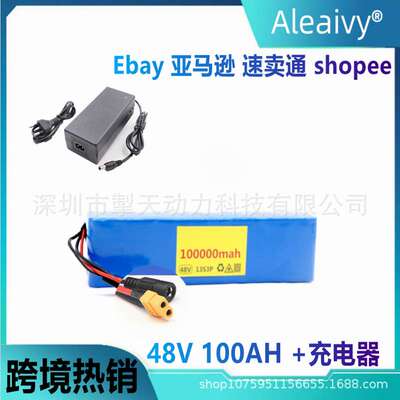 电动自行车电池48v100Ah18650锂离子电池组13串3并+充电器长续航