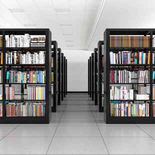 钢制图书馆书学校阅览资料档案凭证架架单BXP室双面图书收纳架架