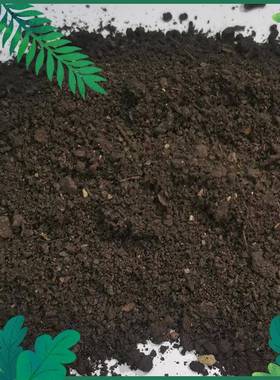 羊粪发酵纯羊粪有UNH机肥氮磷钾机质肥增质增酵产腐料熟发有动物