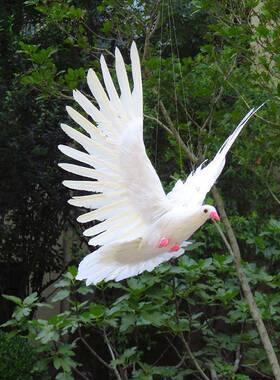 仿真鸽羽毛道子模型展翅和平鸽婚庆吊装饰国庆QL-1688-主题顶摄影