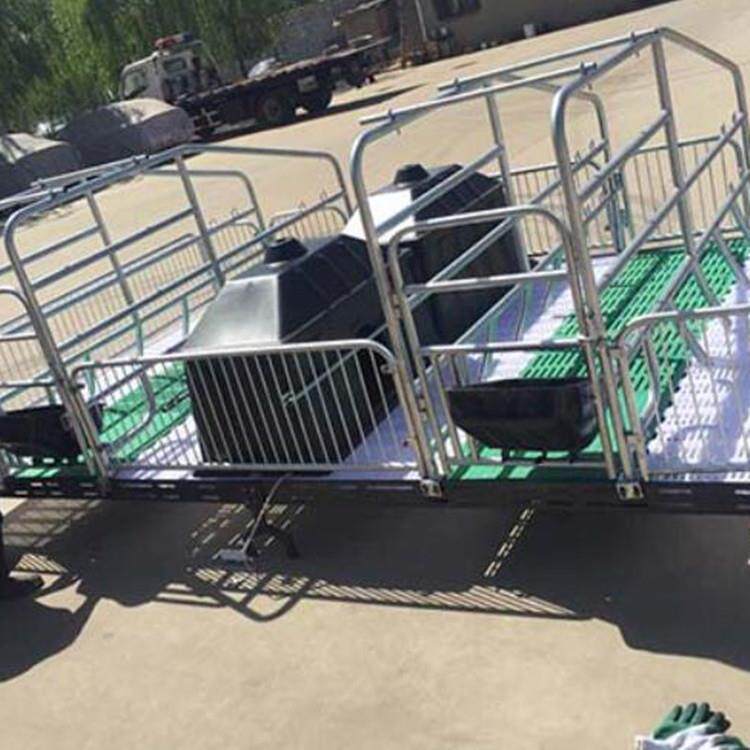 世昌优惠母猪产床养猪设备复合板床母猪分娩床猪笼