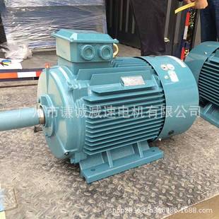 225M JS225M 630KW立式 三相交流异步电动机 YE3 卧式 YE2