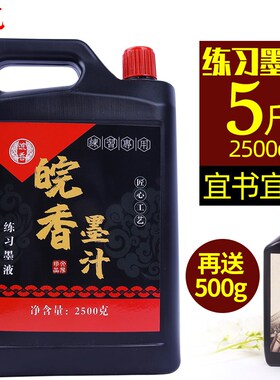 墨汁书法专用毛笔墨水墨液国画专用黑色练习墨汁2500g大容量学生