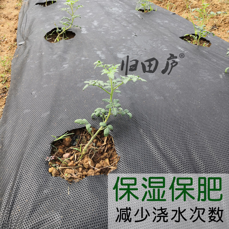 归田庐菜园防草布除草楼顶草莓地膜家庭花园种菜神器透气保湿庭院