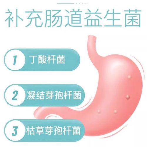 萨摩耶专用益生菌粉宠物犬用狗狗小幼犬成犬活性菌肠道消化宝