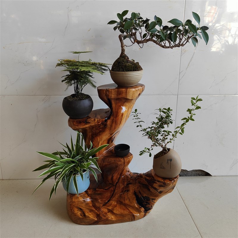 多肉专用花架子小盆栽展示架紫砂壶展示架收纳置物架奇石摆件底座