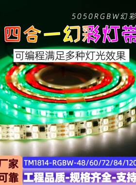 5050RGBW四合一幻彩灯带TM1814外置全彩LED麦爵士可编程跑马灯带