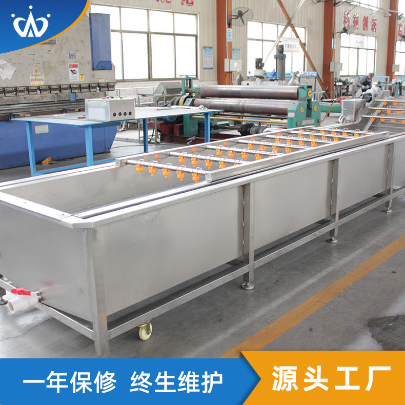 白菜净菜加工流水线黄瓜苦瓜气浴清洗机械豆苗去泥沙洗菜设备