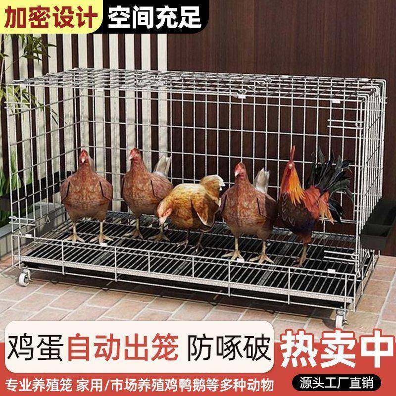 家用养殖折叠鸡笼加厚加密蛋鸡自动滚蛋特大号鸡舍鸡窝工厂直销,纺织面料/辅料/配套,纺织机械配件,淘宝优惠券,粉丝福利购,淘宝优惠卷