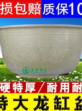 加厚超特大龙缸盆莲花盆水培种果树盆种铁树圆形碗莲盆塑料大花盆