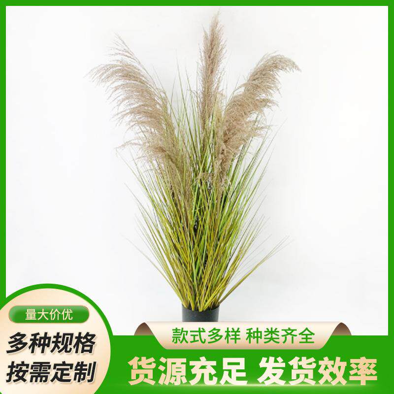 软装造景人造芦苇蒲苇真花干花家装饰花材仿真芦苇5头芦苇草盆栽