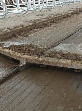 刮自动化粪机养殖场猪清场刮粪板牛配件一拖二不锈钢场IKG粪设备