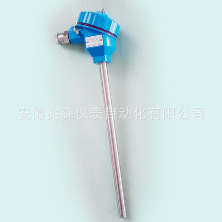 防爆热电阻WZP-140WZP-141WZP-142WZP-143WZP-144WZP-146
