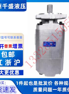 合肥长源双联齿轮泵CBKP63/63504032-BFP/BFHL压路机专用油泵